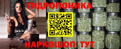 гидра Гусев