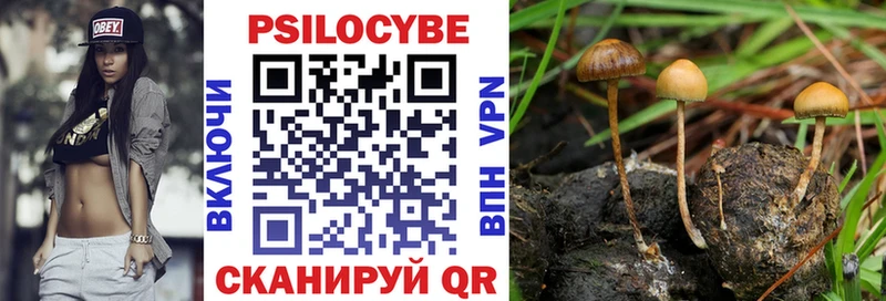купить наркоту  OMG маркетплейс  Псилоцибиновые грибы мухоморы  Беслан 