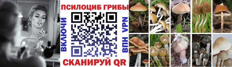 Псилоцибиновые грибы GOLDEN TEACHER Беслан
