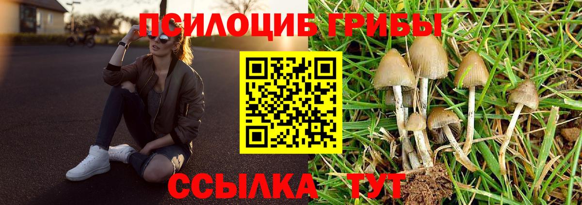 Галлюциногенные грибы Magic Shrooms Беслан