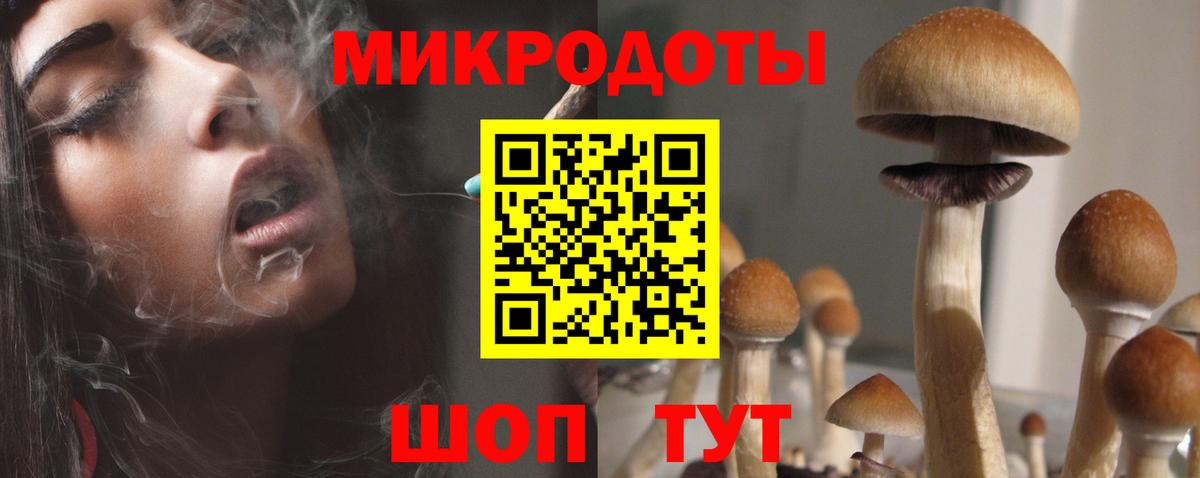 Псилоцибиновые грибы Psilocybine cubensis Беслан
